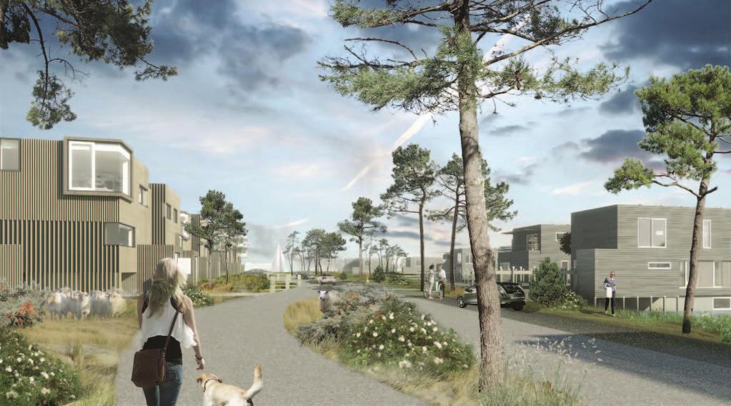 Nesselande Noorderstrand VOGELVLUCHTPERSPECTIEF VANUIT HET WESTEN OPENHEID EN TRANSPARANTIE Bij het posi oneren van de 53 woningen was het uitgangspunt openheid en transparan e, met ruime doorzichten