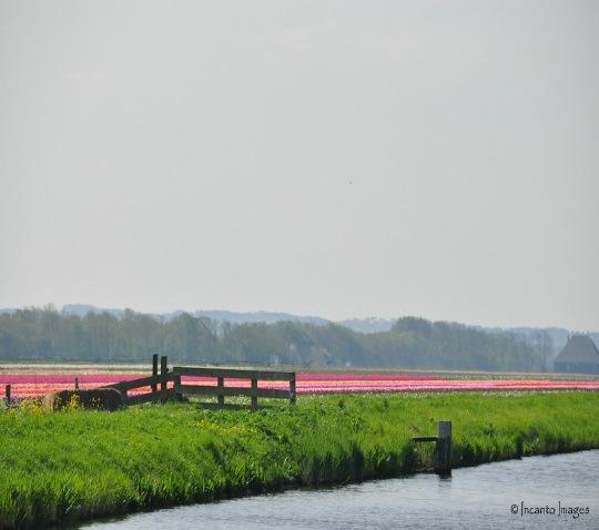 Risico-inschatting oevers Beleid = risicogestuurd beheer Oever naast