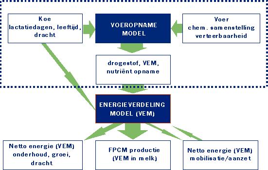 Dit is schematisch weergegeven in Figuur 8. Aan de hand van de voeding berekent het model ook de mestsamenstelling. De prijzen zijn gebaseerd op de KWIN (KWIN-Veehouderij, 2009-2010).
