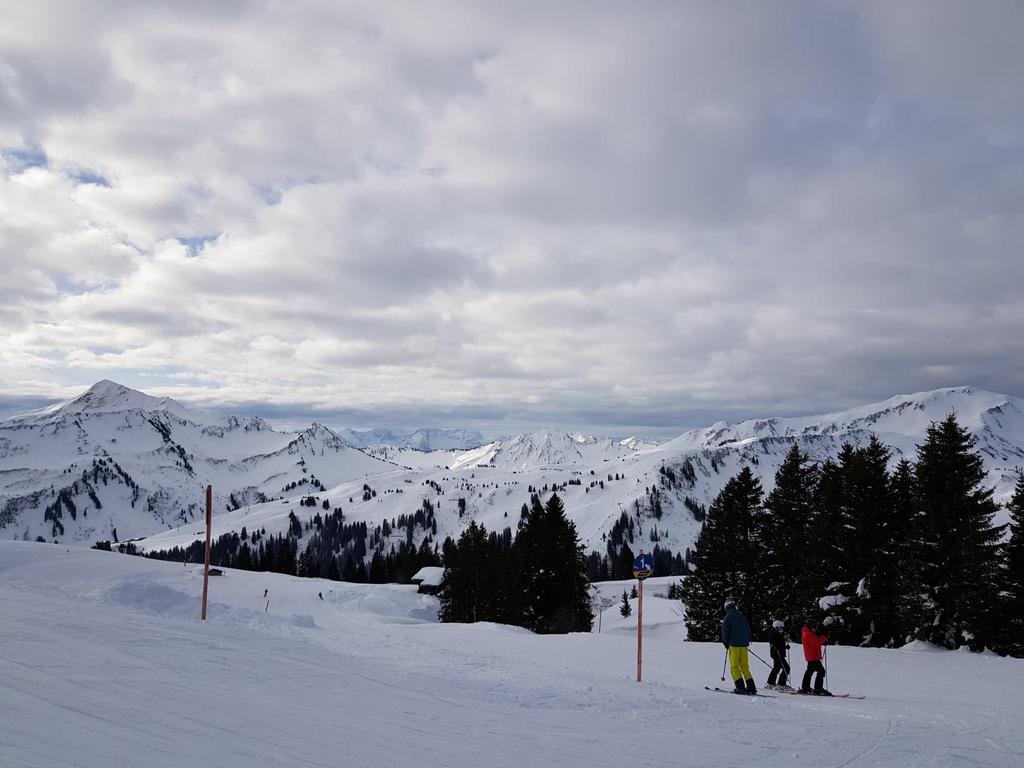 Wintersport 2019 DEEL 3 De eerste skidag. We beginnen met een blauwe afdaling. Dat is fijn om er weer even in te komen. Er is een flauw zonnetje, waardoor we goed zicht hebben op de piste.