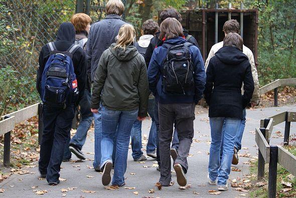 Oorzaak van gedragsproblemen Ouders 81% Leerling 14%