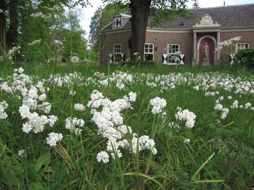 De stinsenflora van onze buitenplaatsen Edwin Visser In Heemstede en Bennebroek heeft in de afgelopen vier eeuwen een groot aantal hofsteden en buitenplaatsen gelegen.