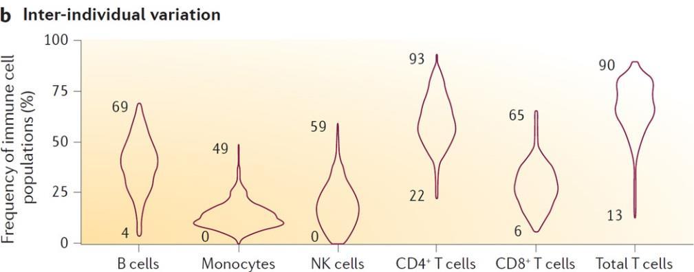 belangrijkste immuun cel populaties