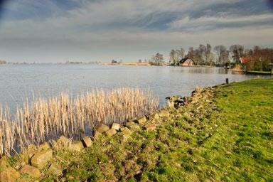 Redenen genoeg dus om de fiets te pakken en een rondje Leiden Weteringbrug te doen. De romantische pluk- en theetuin van Lenie Kroon. Bloemenfoto s: Lenie Kroon.