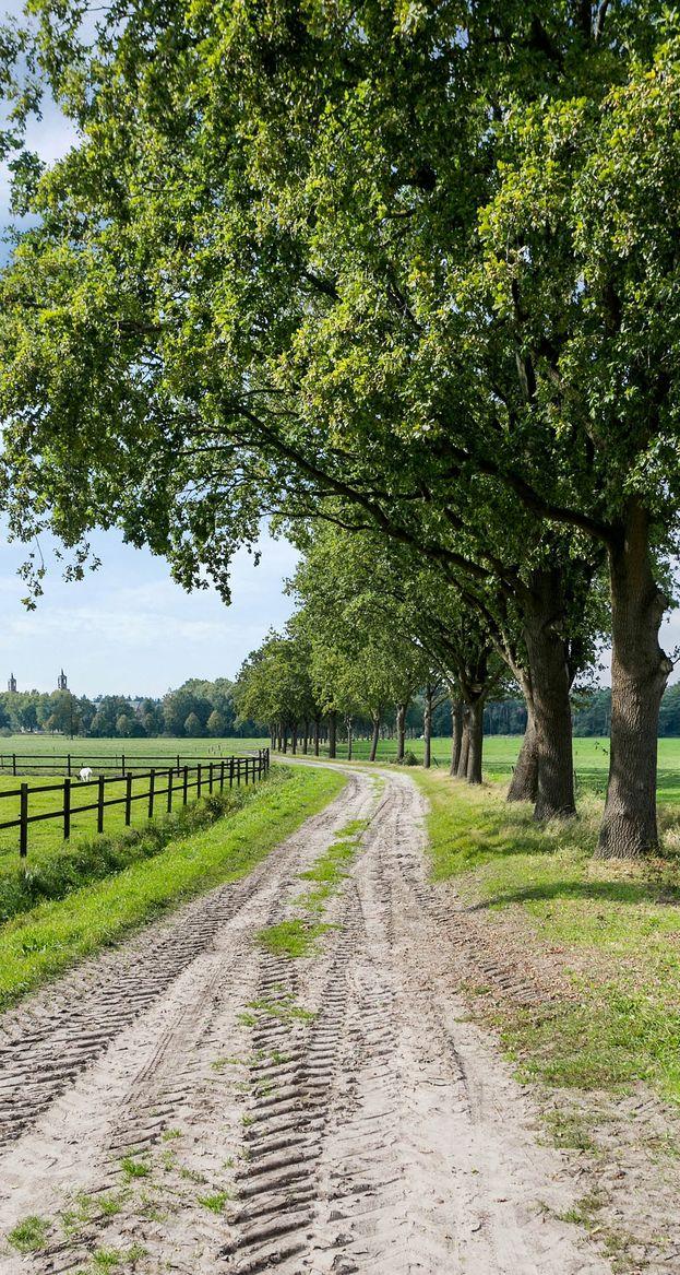 27 franksweegersmakelaardij.nl Locatie De royale, goed onderhouden vrijstaande semibungalow (ca.