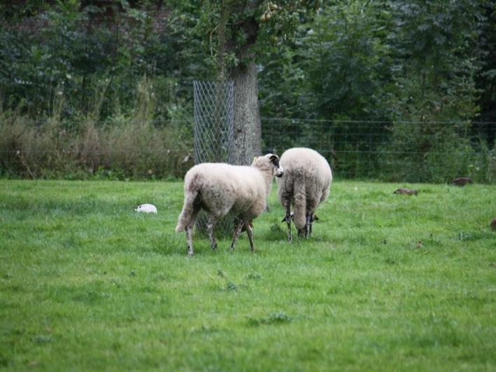 5 P2: Tijd voor jezelf nemen Tijd voor jezelf nemen Het grote pand, "Accuraedthuys", waar nu appartementen in zijn gehuisvest, was vroeger het gemeentehuis van de voormalige