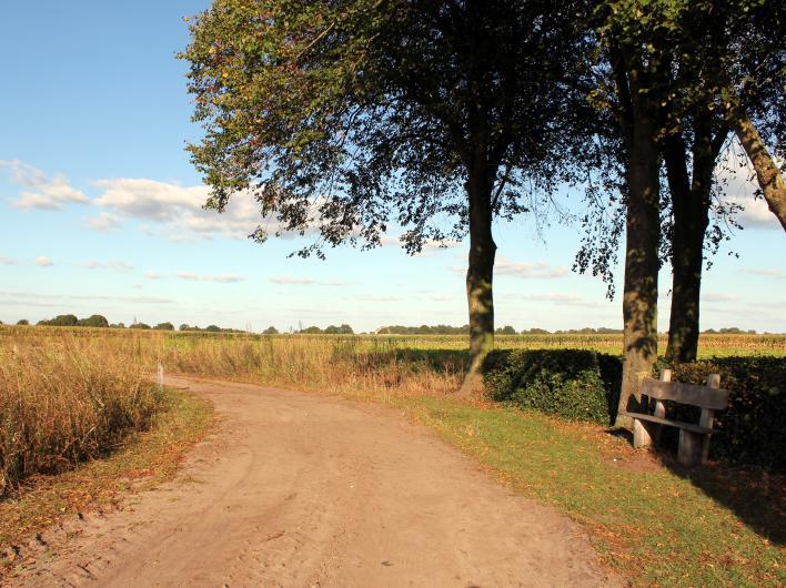 8 P5: Stormen overleven Bij Bezinningsbank Aan het einde van het paadje rechtsaf