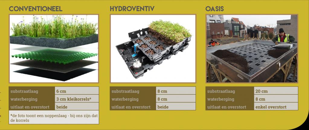 grassen, kruiden en bloemen groeien op een 8 cm substraatlaag; daaronder ligt opnieuw een drainagemat als filterlaag om het water te transporteren; daaronder ligt een 8 cm dikke waterbergende laag.