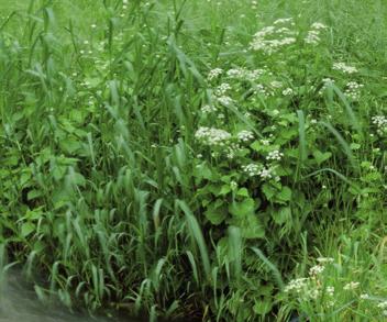 moeten meer robuust worden gemaakt om bij hevige regenval beter te kunnen