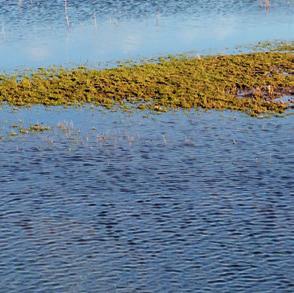 Nu is veiligheid op meerdere niveaus de norm: niet alleen het voorkomen van overstromingen is belangrijk, maar ook