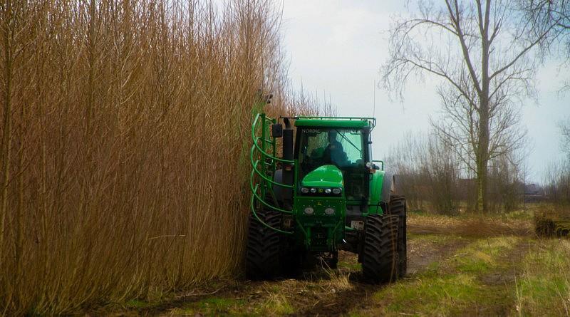 De mest van 85 melkveerunderen