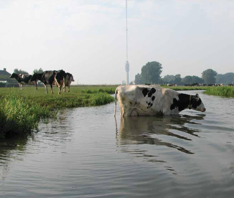 rijk winkelaanbod.