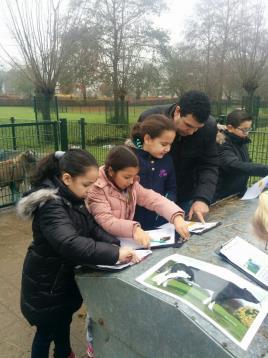 Meelstraat 1a Radio maken Woensdag 14.00-15.00 5 en 6 Aula Pr. Margrietschool Voetbal Woensdag 16.00-17.