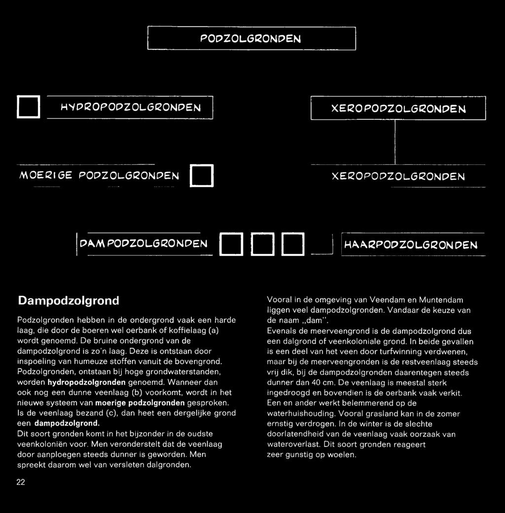 Deze is ontstaan door inspoeling van humeuze stoffen vanuit de bovengrond. Podzolgronden, ontstaan bij hoge grondwaterstanden, worden hydropodzolgronden genoemd.