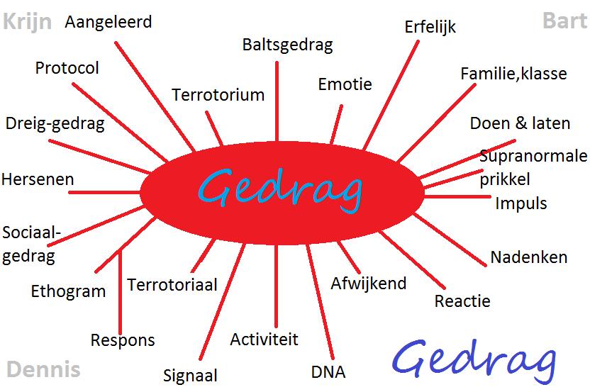 gedrag