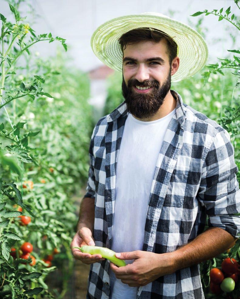 Geen vreemd DNA Genetische modificatie van planten laat toe nieuwe genetische informatie in te bouwen in het DNA van een plant.