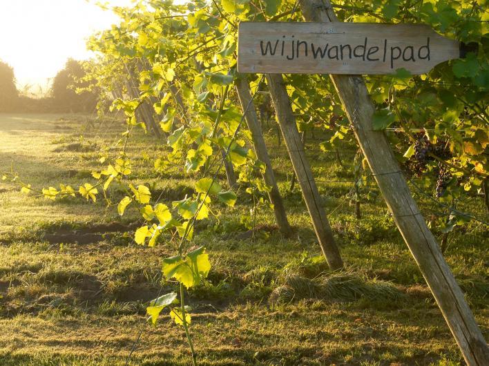 Wijnwandeling Reestdal 10 km 1 Wijngoed 'de Reestlandhoeve' Biodynamische teelt In 2003 is de Reestlandhoeve begonnen met de aanplant van deze wijngaard die nu een oppervlakte van 3 ha beslaat.