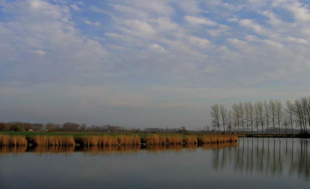 STAP ROUTE 02 VAN SINT-LAUREINS NAAR DE KREKEN - MEETJESLAND - 13 In Sint-Laureins liggen de kreken als verrassende waterplassen in de polders.