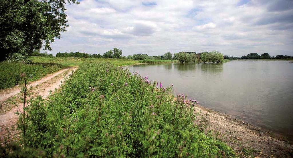 STAP ROUTE 03 4 AARD Eens het water over, beland je op het dorpspleintje van Aard, dé poort naar de Scheldenatuur wat verderop.