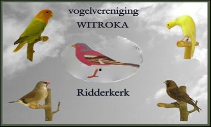 V.V. WITROKA RIDDERKERK Opgericht in