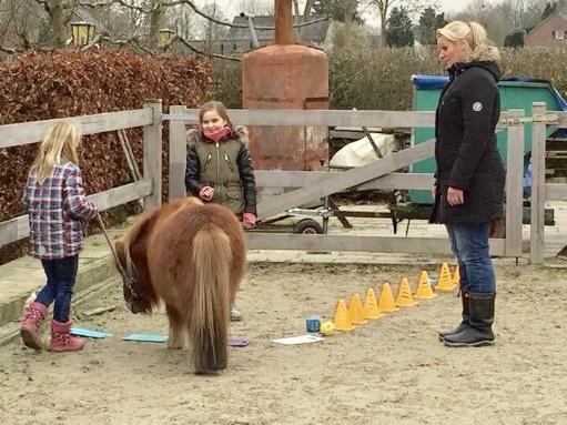 Voor kinderen in de leeftijd vanaf 6-11 jaar. Ieder kind is uniek en bezit een belangrijk talent.