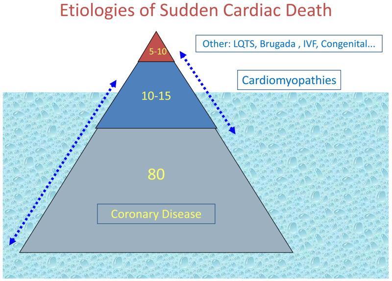 Pltse hartdd f Sudden Cardiac Death (SCD) = nve