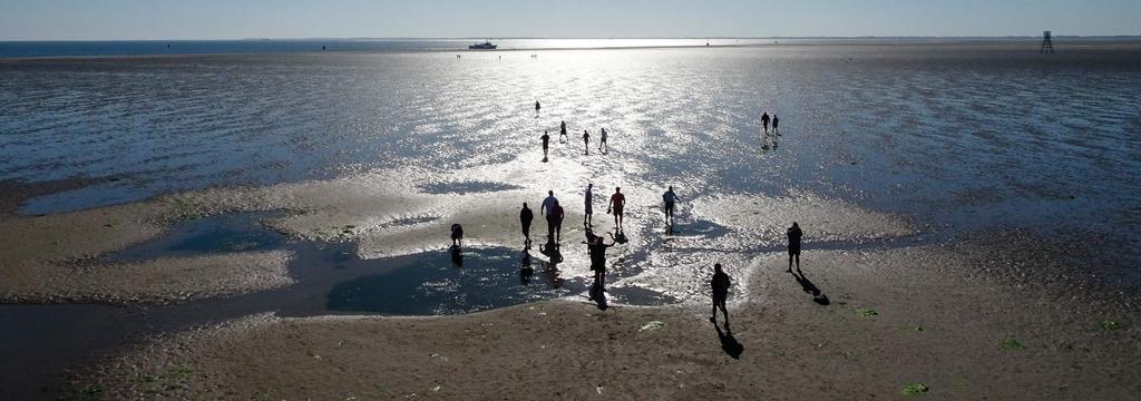 Doel en opdracht De twee belangrijkste doelen voor het Programma naar een Rijke Waddenzee (PRW) zijn: de natuur in de Waddenzee te versterken, transitie naar duurzaam (economisch) medegebruik