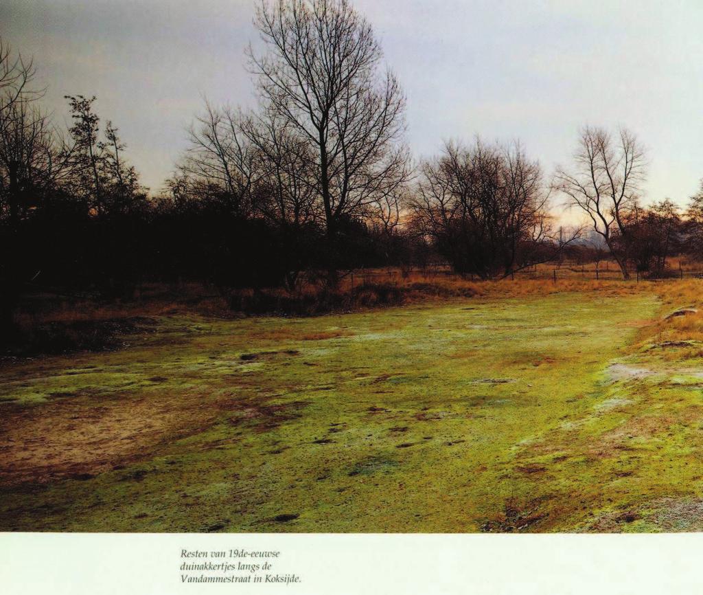 Duinakkertjes: Termote (red.), Tussen land en zee.