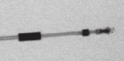 1-18 INLEIDING IN MR VOORWAARDELIJKE STIMULATIE RÖNTGENIDENTIFICATIE 1 2 1 2 3 [1] Anode-ring met constante diameter; [2] Fluoroscopiemarker net proximaal van de distale tip; [3] Coradiale coil met