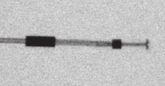 Fluoroscopiebeelden van de distale tip voor de FINELINE II Sterox EZ-leads met actieve fixatie (links) en voor de FINELINE II Sterox-leads met passieve fixatie (rechts) Figuur 1-4 op pagina 1-18