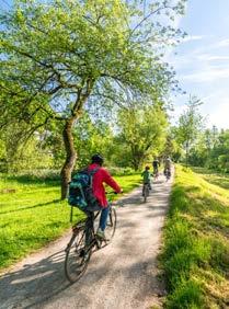 VELOO Wilt u op een ontspannen manier kennis maken met de elektrische fiets? I.s.m. Vlaamse Stichting Verkeerskunde organiseren we een luchtige mix van theorie en praktijk gericht op verkeersveiligheid en elektrisch fietsen.