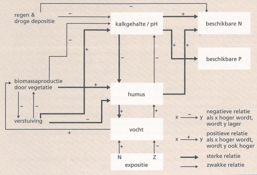 stof. Desondanks is er een geringere beschikbaarheid van N (hoger N verbruik door bacteriën) en vooral P voor vaatplanten (vastlegging door kalk en ijzer) (Figuur 3).