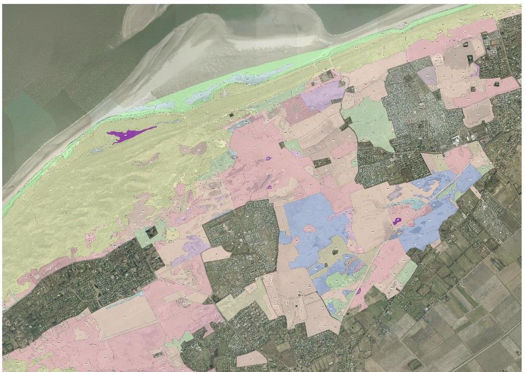 3.11 Gebiedsanalyse H2190C Vochtige duinvalleien (ontkalkt) 3.11.A Kwaliteitsanalyse H2190C Vochtige duinvalleien (ontkalkt) op standplaatsniveau Voor het habitattype vochtige duinvalleien (ontkalkt)