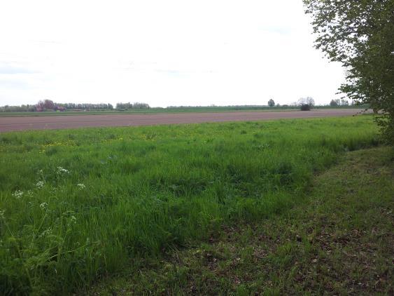 De bebouwing bestaat uit een aantal loodsen die in de huidige situatie voornamelijk als opslag gebruikt worden (foto 1) en uit een stacaravan die de functie van