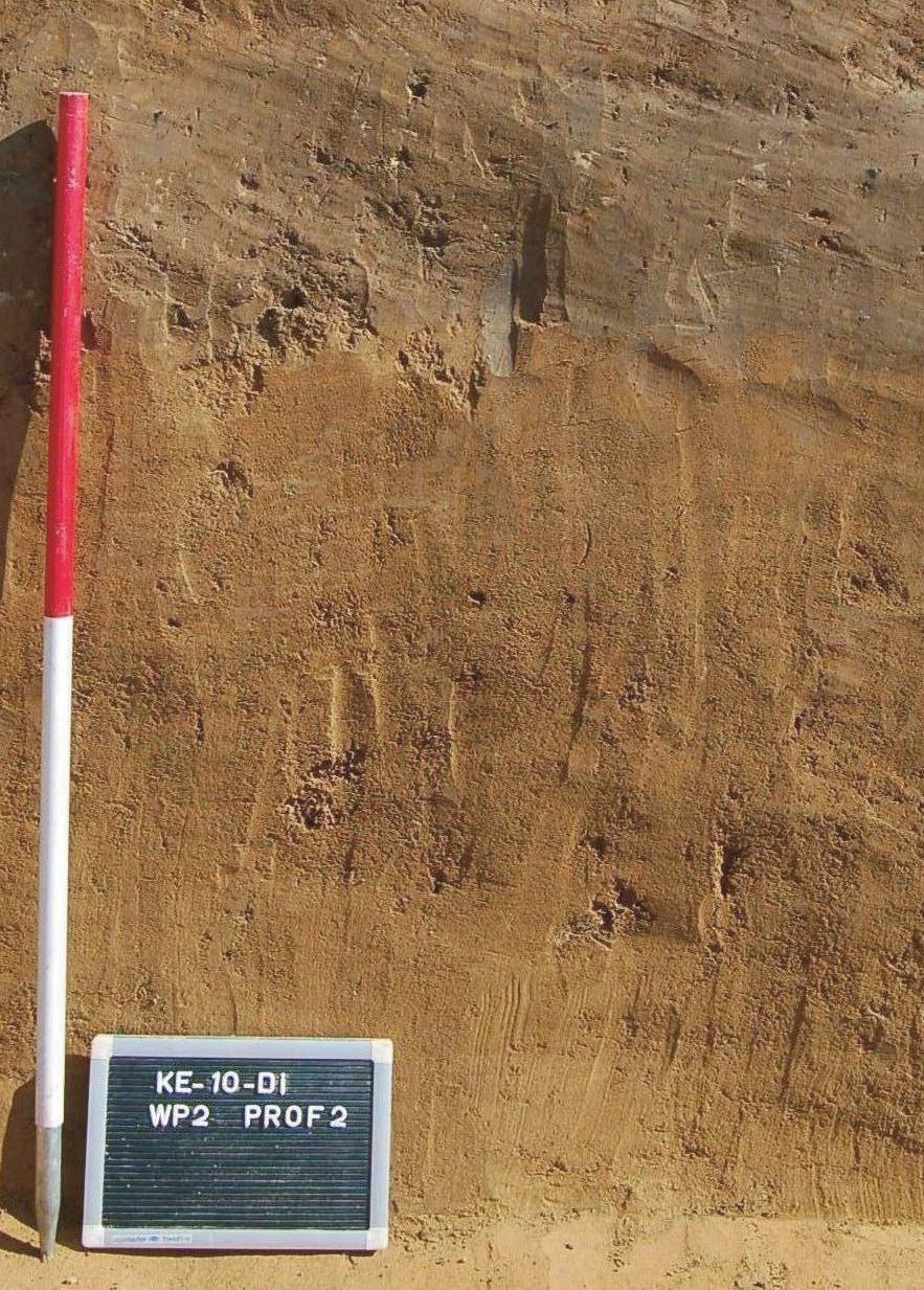 RAPPORT 91 Archeologische opgraving aan de Diepestraat te Kesselt (Lanaken) Onderzoek uitgevoerd in