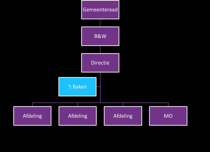 Figuur 1: organisatiestructuur t Baken inclusief werkzaamheden uit Het Plein Op basis van bovenstaande afwegingen wordt t Baken gepositioneerd direct onder de directie maar buiten de lijn.