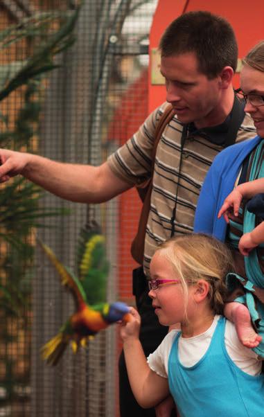 Er is ook een groep mensen die een grotere afstand tot werk heeft. Re-integreren door middel van beschut werk blijft daarom noodzakelijk.