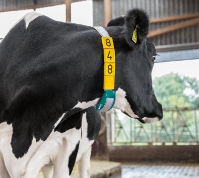 Professoren Daniel Berckmans en Joerg Hartung lichten toe hoe precision livestock farming, precisielandbouw voor de veehouderij, de melkveehouderij verder kan brengen.