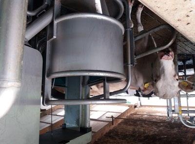 De dertig veehouders die de presentatie bezochten, werden voor het theorie-gedeelte ontvangen in een zalencentrum in Stegeren, Overijssel.