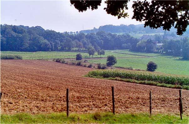 Duin(zand)landschap.