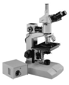 Bijlage Les 2 De microscoop Om een preparaat met behulp van een lichtmicroscoop te bekijken moet je een paar