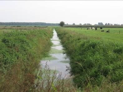 Daarnaast moet voorkomen worden dat het bestemmingsplan zaken juridisch regelt die al in de Keur zijn geregeld.