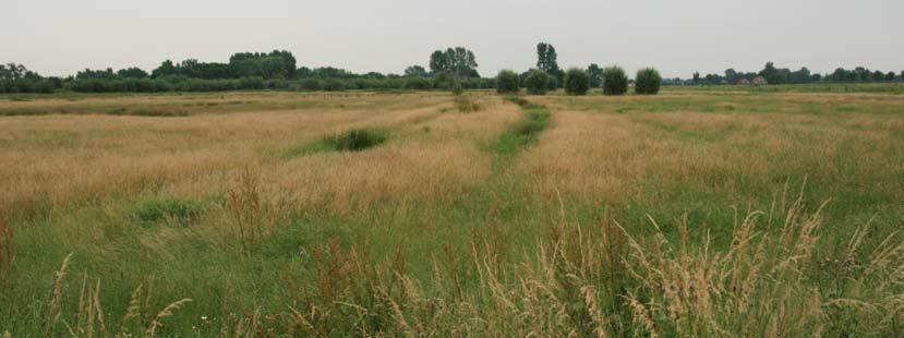 Het bestuur is acht keer bijeen geweest. Uiteraard is er veel gesproken over de voorgang van de (P)SAN. Er is dit jaar de nodige aandacht besteed aan de PSAN na 2009, als het huidige contract afloopt.