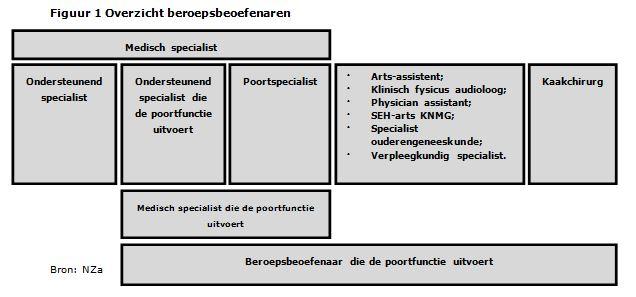 aa. Ondersteunend specialist Een specialist die niet als poortspecialist fungeert en die medisch-specialistische zorghandelingen uitvoert in het kader van een zorgtraject van een poortspecialist.