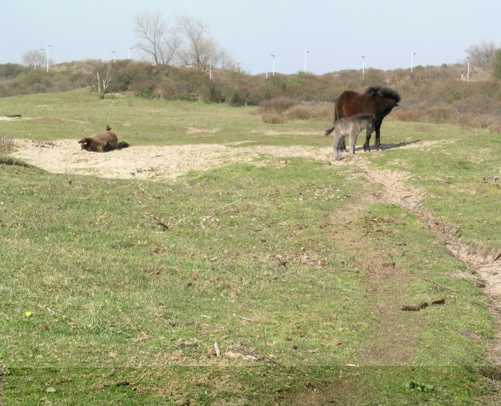 OOK AANDACHT VOOR NATUUR In 1994 werd een