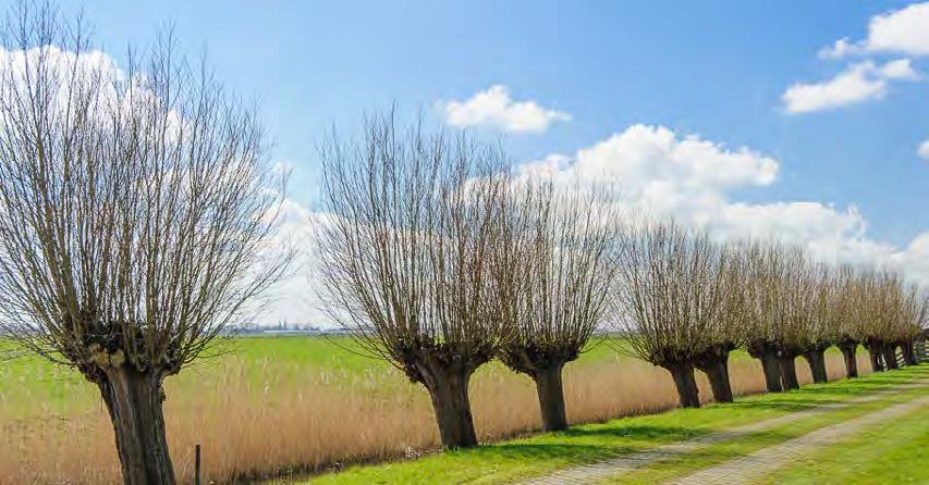 P R K D E E L PRKDEEL an de randen van het terrein wordt een parkdeel voorgesteld. In het parkdeel is het mogelijk voor omwonenden en medewerkers een rondje te lopen in een rustige groene omgeving.