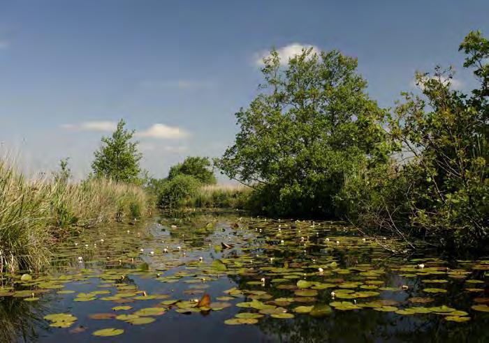 P R K D E E L ZONE SPOOR (2) Ten zuiden van het plangebied, direct gelegen aan de etuwelijn, wordt een wisselend beeld gecreëerd.