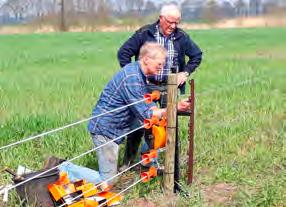 Aan de hand van sporenonderzoek kon bij enkele rasters op zandgrond worden vastgesteld dat er wel een vos in de buurt was geweest, maar dat deze bijna altijd op ongeveer 2