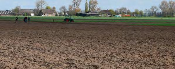 Vrijwillige weide- & akkervogelbescherming in Noord-Brabant aantal keer legsels beschermd uitkomstpercentage 1.