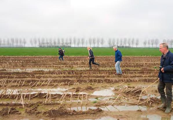 Wilde eend De wilde eend staat in de top 5 van meest gevonden legsels in. Het aantal legsels verdubbelde van 47 in 2017 naar 98 in. Het uitkomstpercentage is met 94,9% erg hoog.